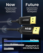 54Gbps DisplayPort Cable 2.1 [VESA Certified]